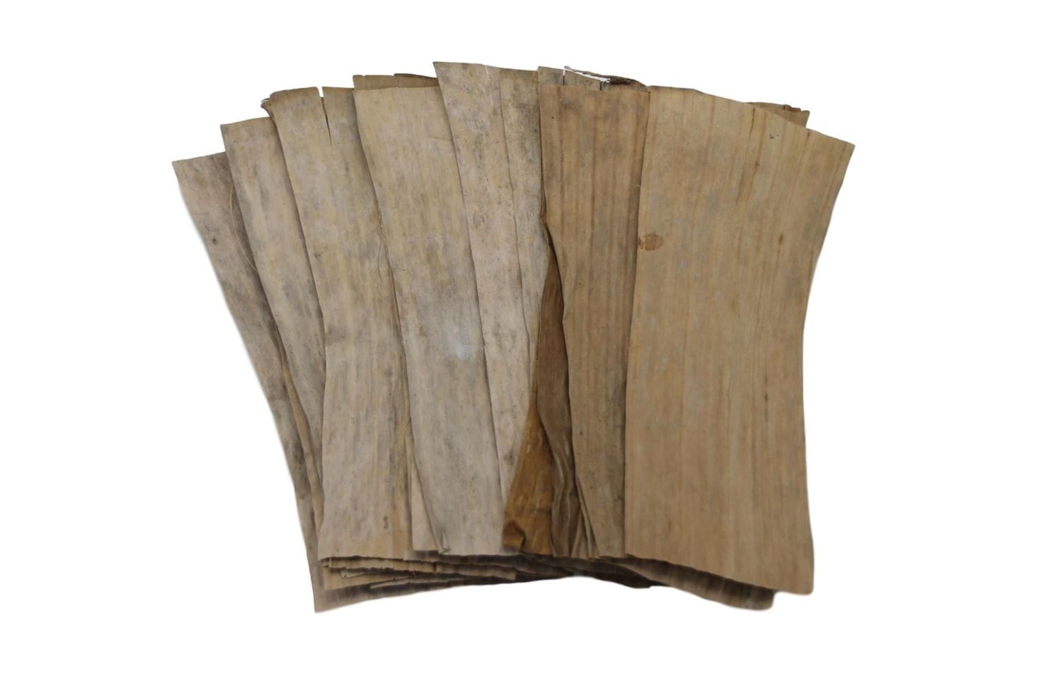 Bananen bladeren 20X