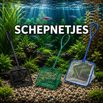 Schepnet