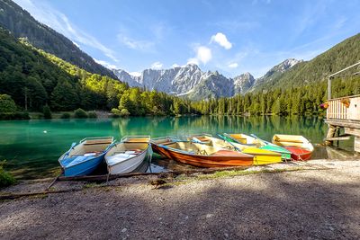 The Living World: Nature Photography