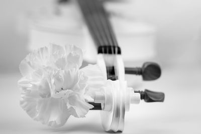 Monochrome &amp; Timeless: Black &amp; White Art