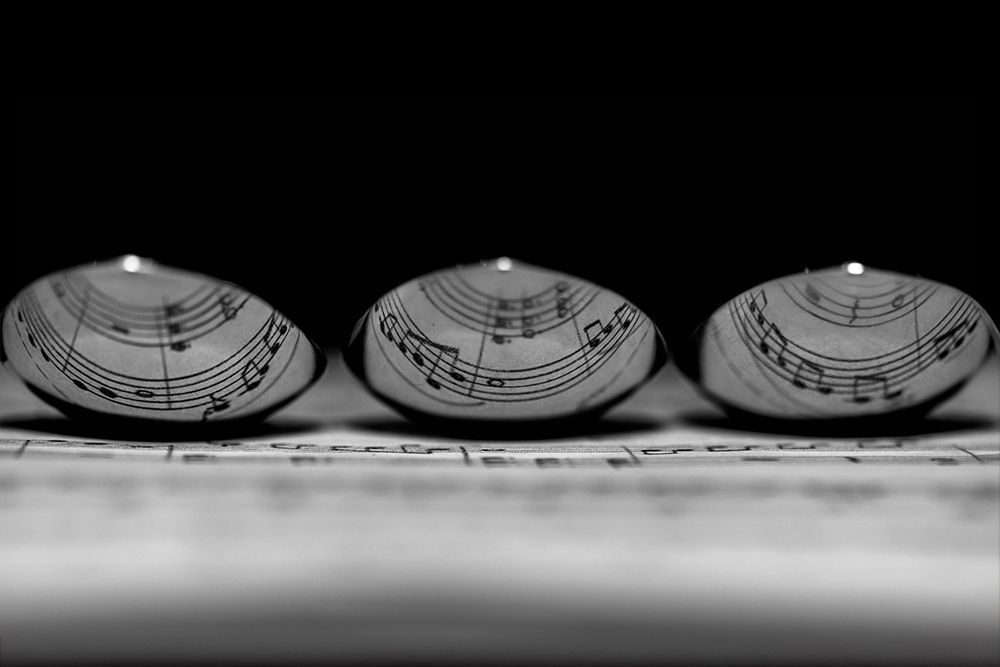 Symphony in Spoons - Creative Music Photography