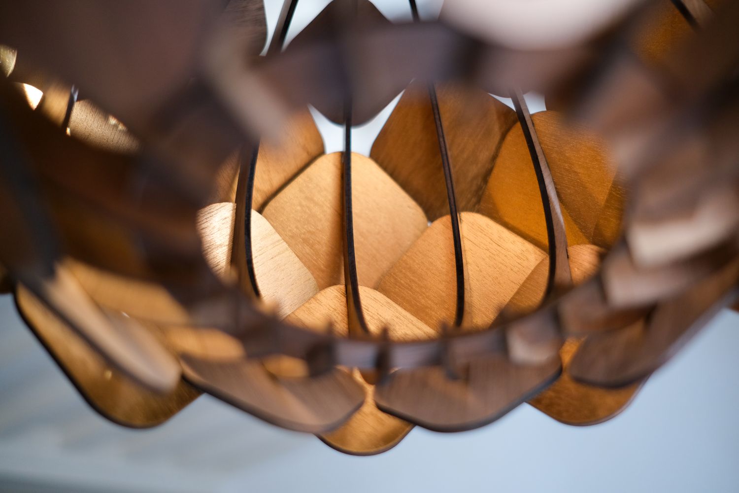 Finition or intérieur (option)