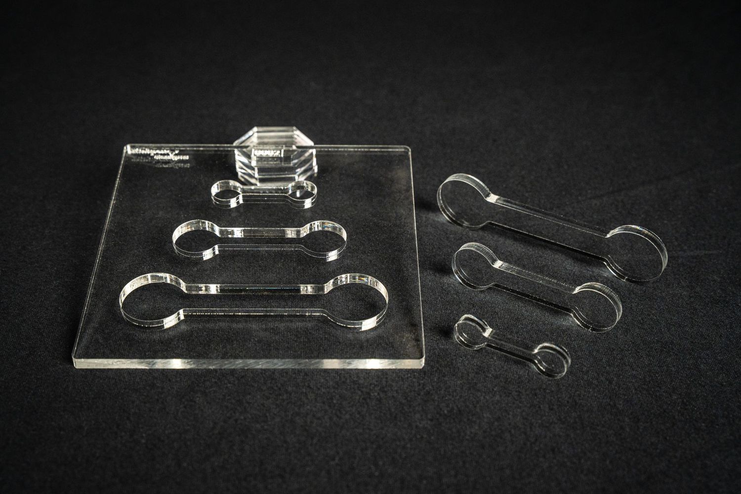 Frässchablone - Dog Bones