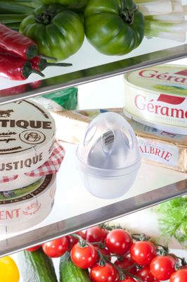 Geruchskiller Kühlschrank Egg