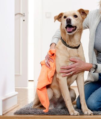 Das Hunde-Fellpflegetuch – Größe: ca. 60 × 50 cm