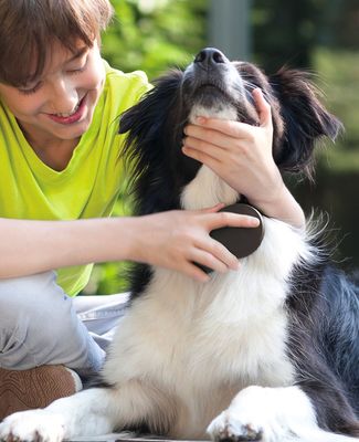 zilopet Fellbürste  mit integriertem Geruchskiller