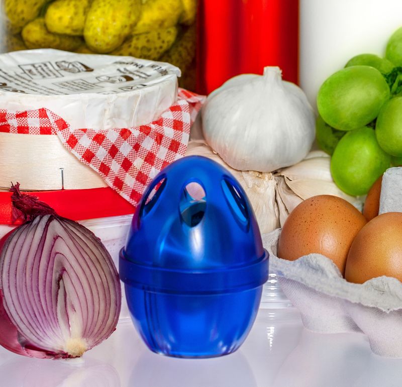 Kühlschrank-FRISCHE