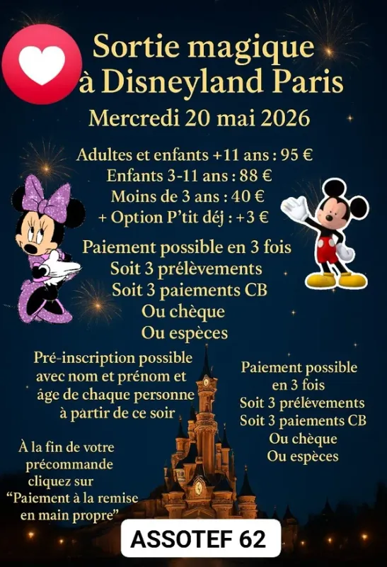 Sortie Disneylanf Paris 20/05/2026