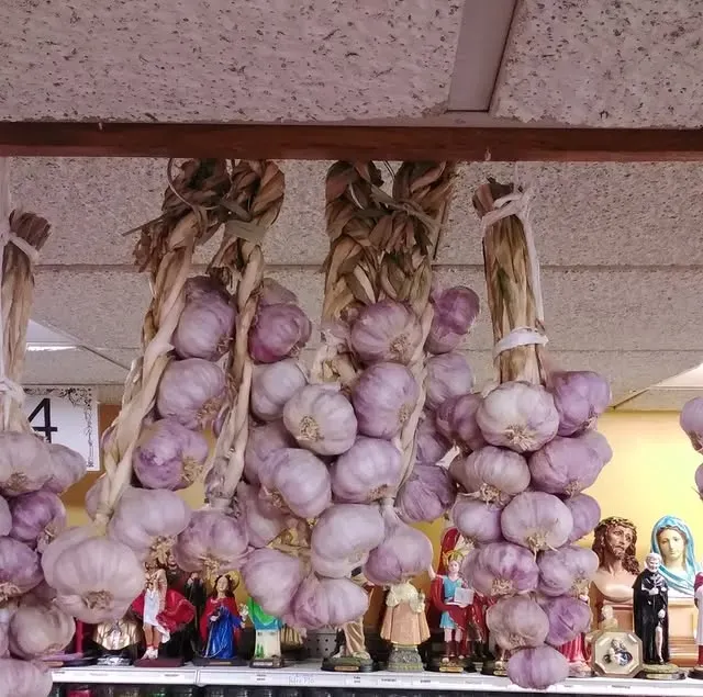 Spiritual Herbs & Roots