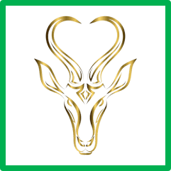 Venison Biltong SPRINGBOK