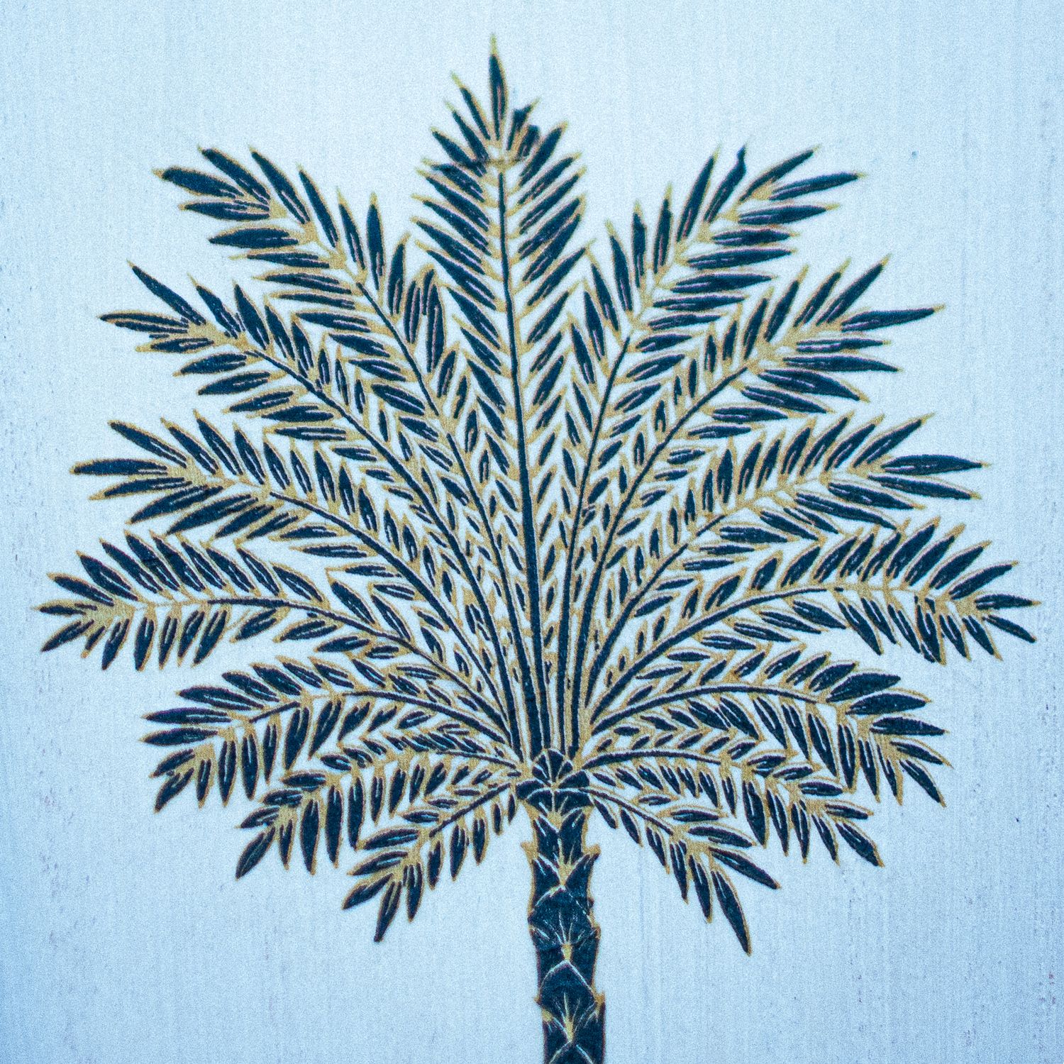 Bandeja Rectangular con Bordes Cuadrados