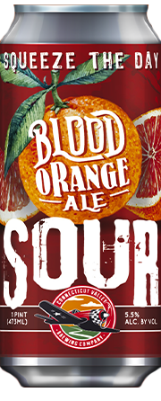 Connecticut Valley Squeeze the Day Blood Orange Ale 16oz Single