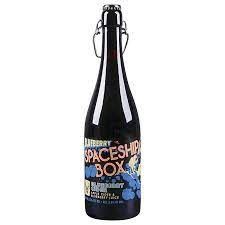 Blueberry Spaceship Box Cider 750mL