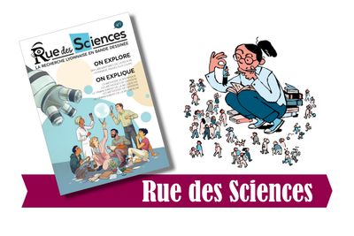 Rue des Sciences