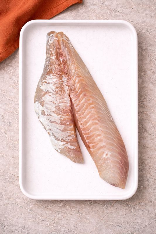 Tarakihi Fillet