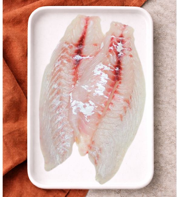 Snapper Fillet