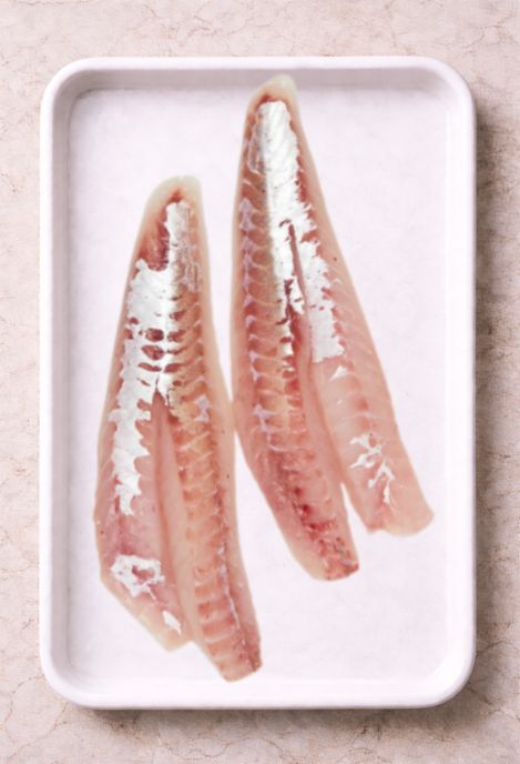Gurnard Fillet