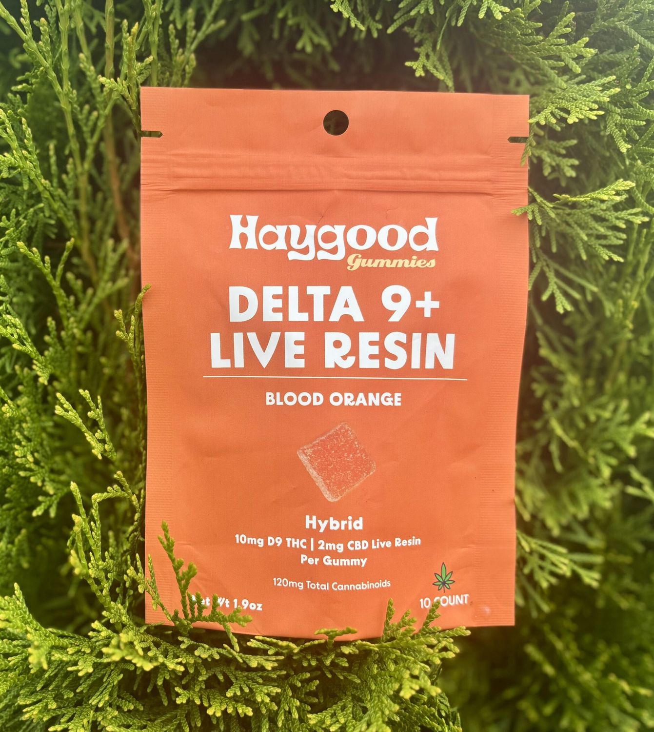 Blood Orange Live Resin Gummies - 100mg