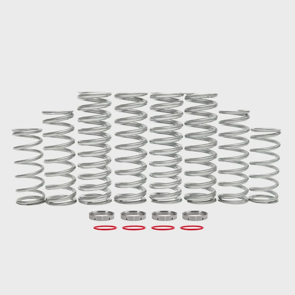 Polaris RZR XP (2024) Dual Rate Spring Kit