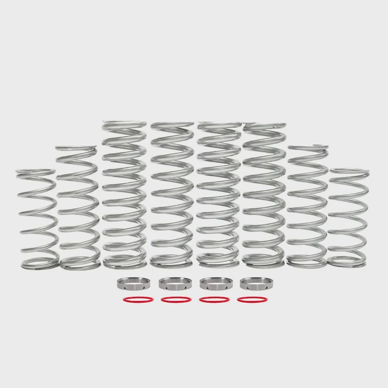 Polaris RZR XP (2024) Dual Rate Spring Kit