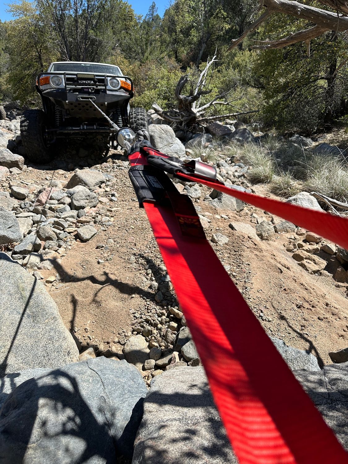 4&#39;&#39;x10&#39; Tree Saver Strap / Tow Strap / Winch Strap (Lifetime Warranty)