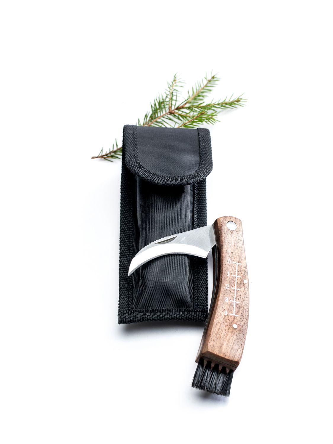 Mushroom knife in case