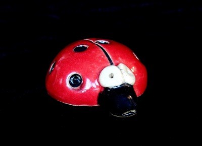 Whistle- Ladybug