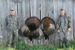 SPRING TURKEY