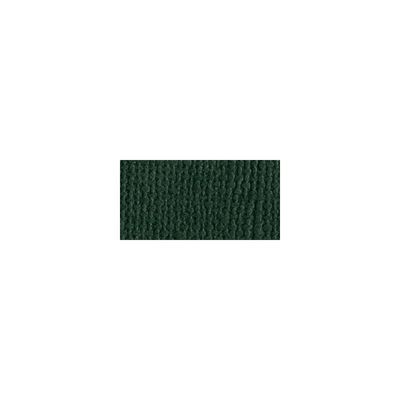 Bazzill Mono Cardstock 12" X 12" Aspen