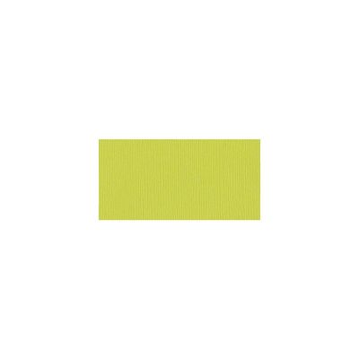 Bazzill Mono Cardstock 12" X 12" Granny Smith