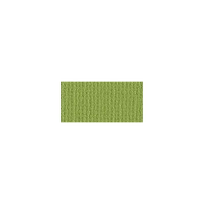 Bazzill Mono Cardstock 12" X 12" Perroquet