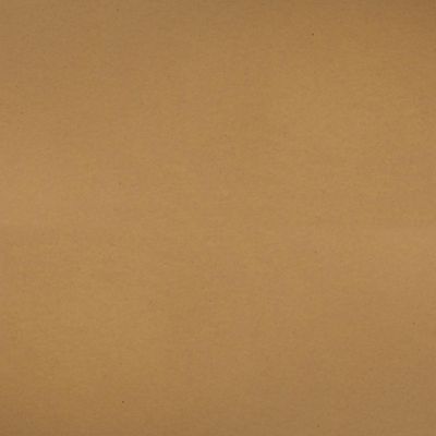 Bazzill Classic Cardstock 12" X 12" Dark Kraft