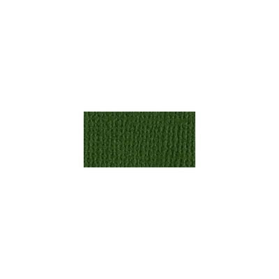Bazzill Mono Cardstock 12" X 12" Ivy