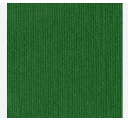 Bazzill Mono Cardstock 12" X 12" Green