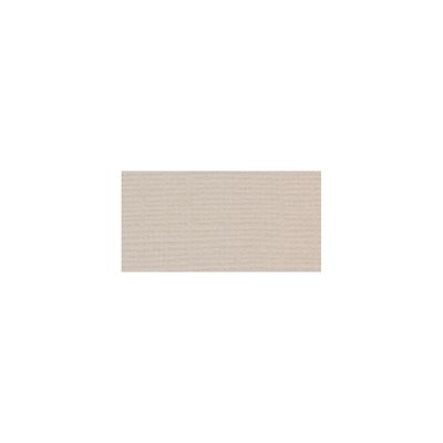 Bazzill Mono Cardstock 12" X 12" Twig