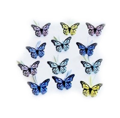 Eyelet Outlet - Brads «Butterfly» 12 pièces