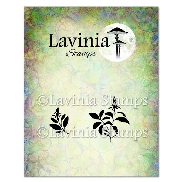 Lavinia - Estampe «Sage»