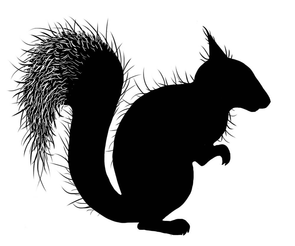 Lavinia - Estampe «Red Squirrel»