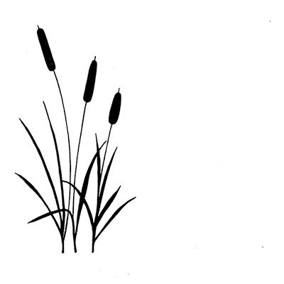 Lavinia - Étampe «Bulrushes»