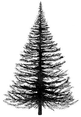 Lavinia - Étampe «Fir Tree»
