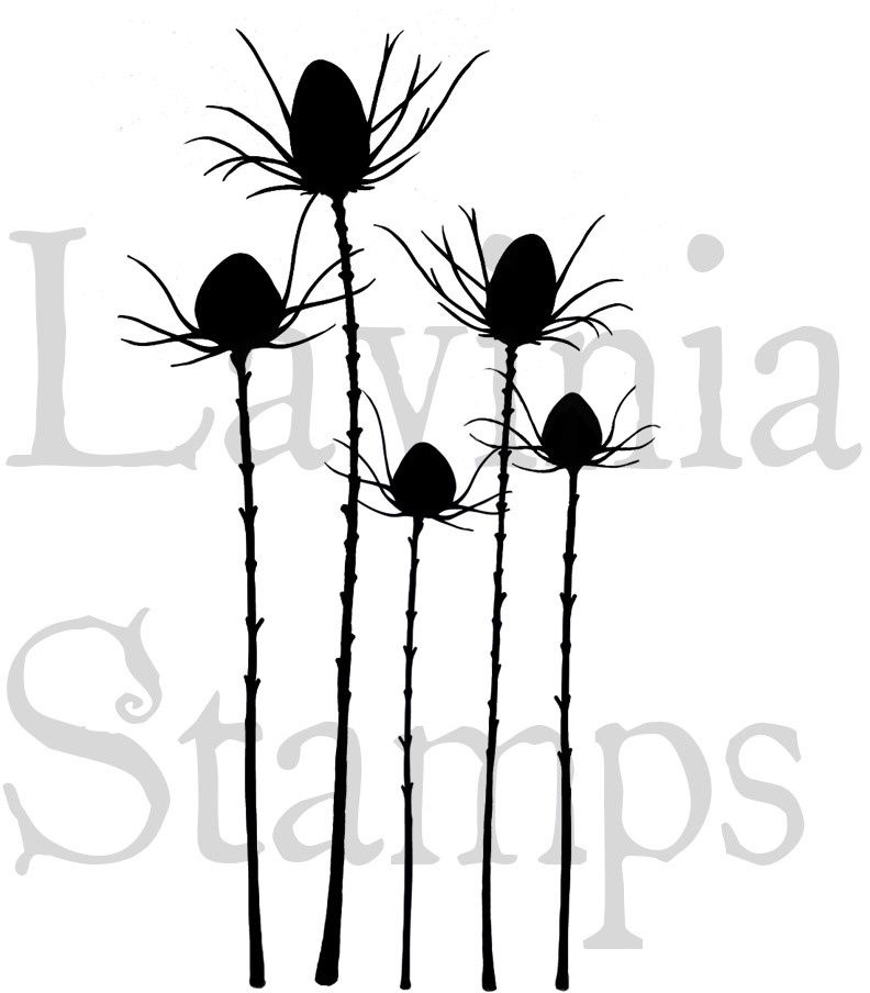 Lavinia - Estampe «Silhouette Thistle»