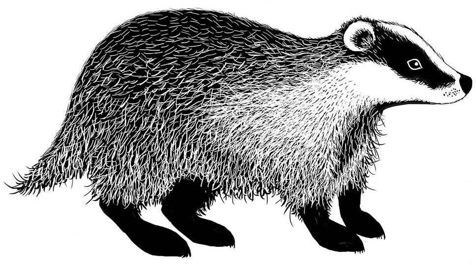 Lavinia - Étampe «Badger»