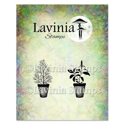 Lavinia - Étampe «Dill &amp; Sage Pots»