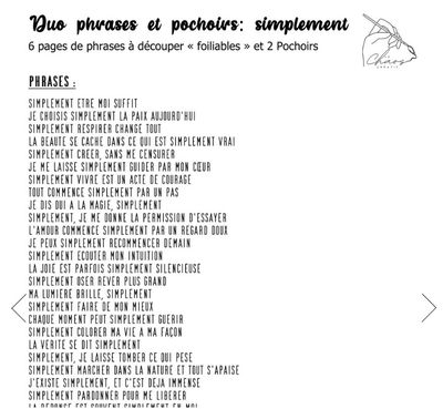 Le Chaos créatif - Duo Phrases et pochoirs: Simplement