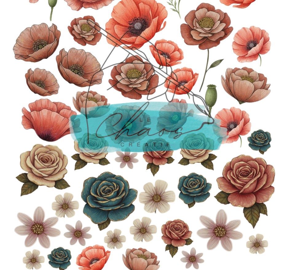 Le Chaos créatif - Éphémèras no.2 Les Mystérieuses