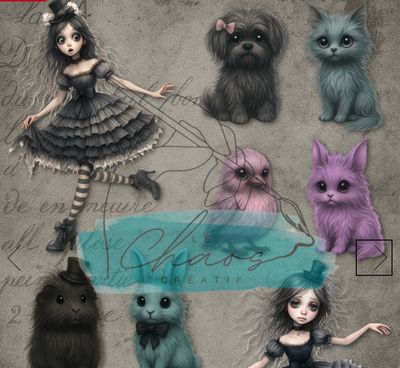 Le Chaos créatif - Album Bas Rayés et Coeur Serré