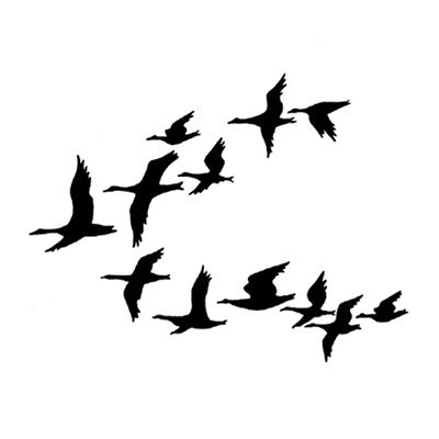 Lavinia - Étampe «Ducks»