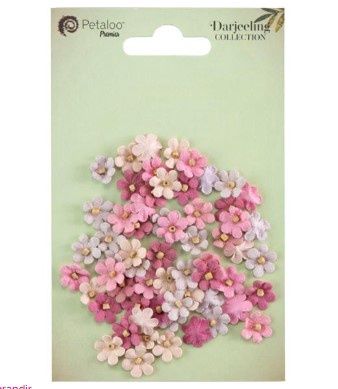 Little Birdie - Fleurs Nathalia Vintage Pink