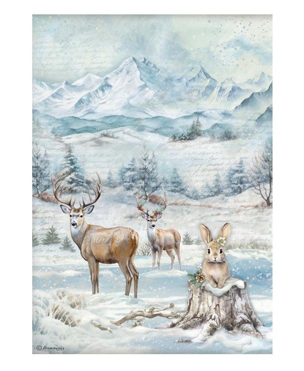 Stamperia - Papier de riz collection la maison du hibou «Faune»