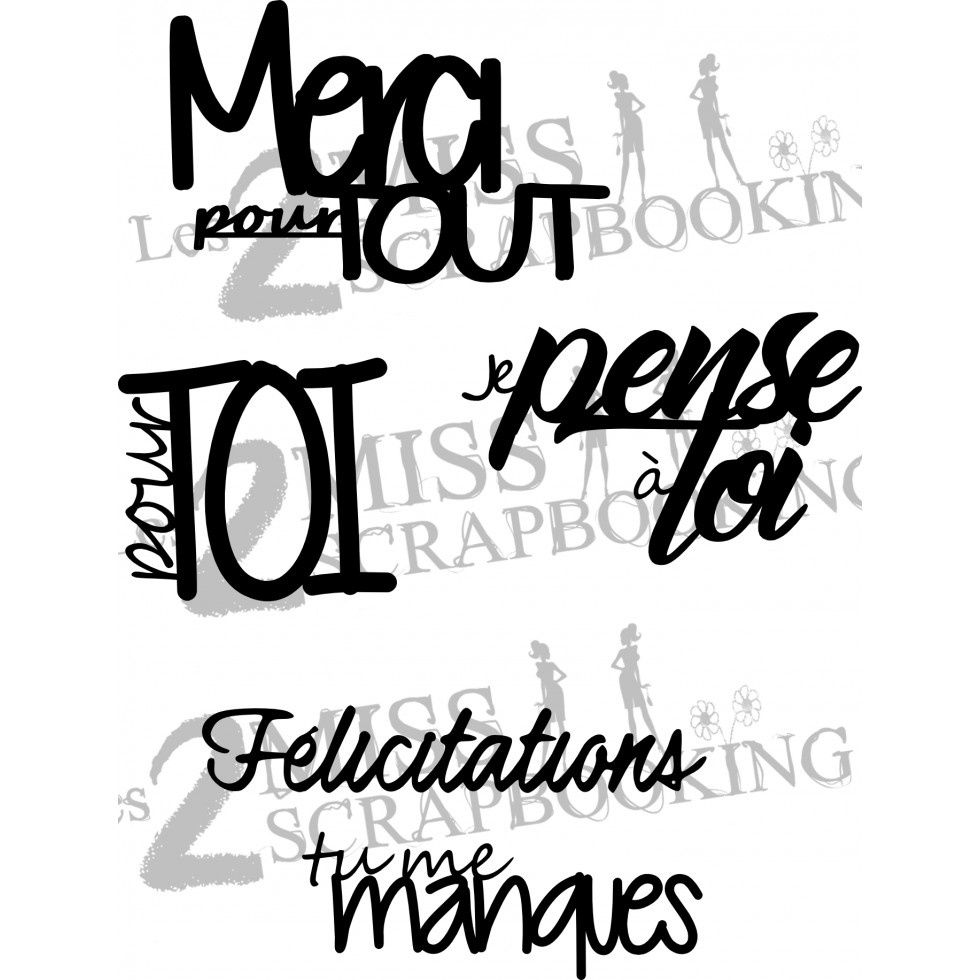 Les 2 Miss scrapbooking - Chipboard «Kit Voeux» 5 pcs